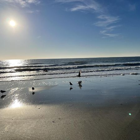 Blue Palmetto Vacation Rentals Myrtle Beach Luaran gambar