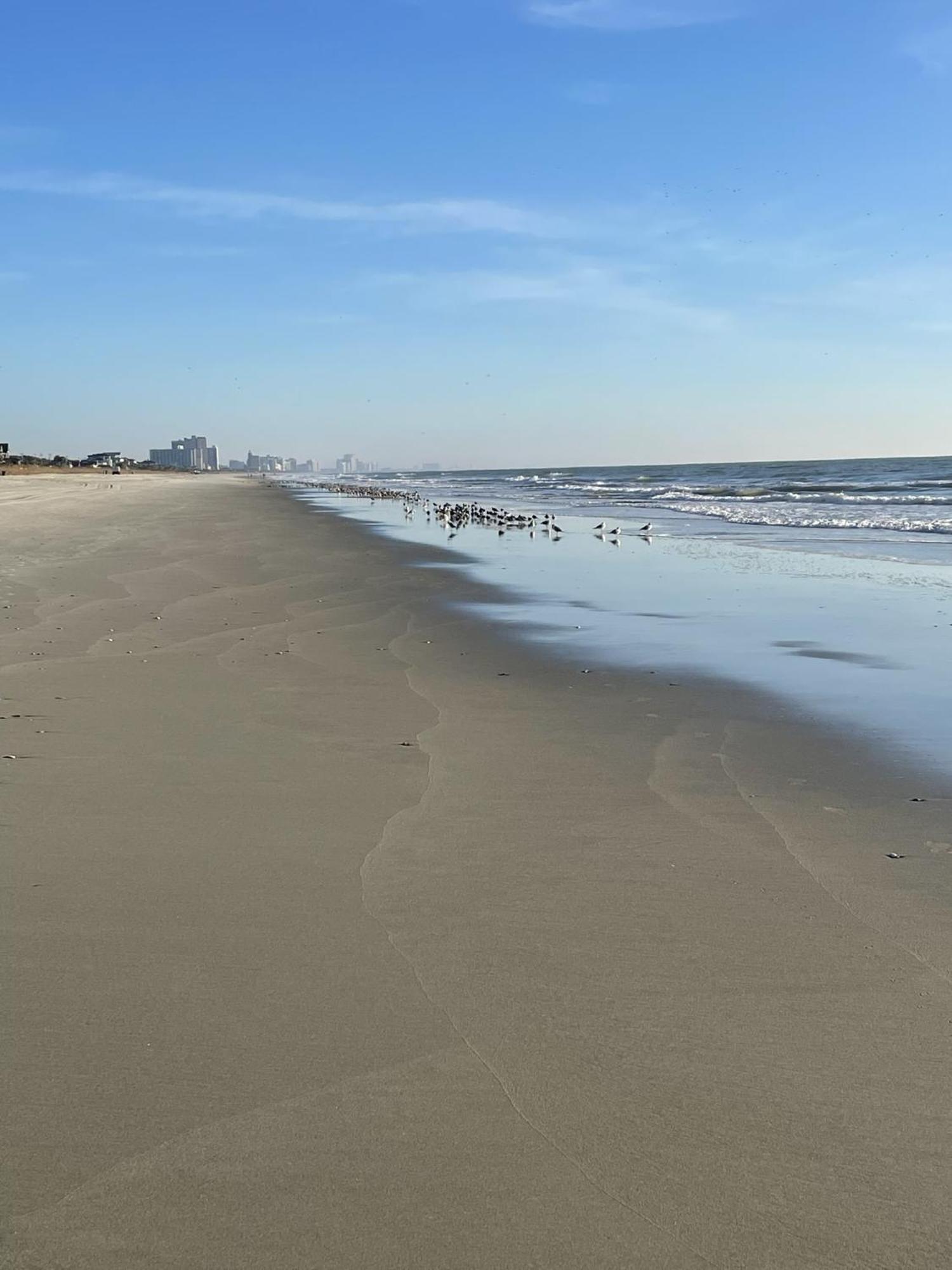 Blue Palmetto Vacation Rentals Myrtle Beach Luaran gambar