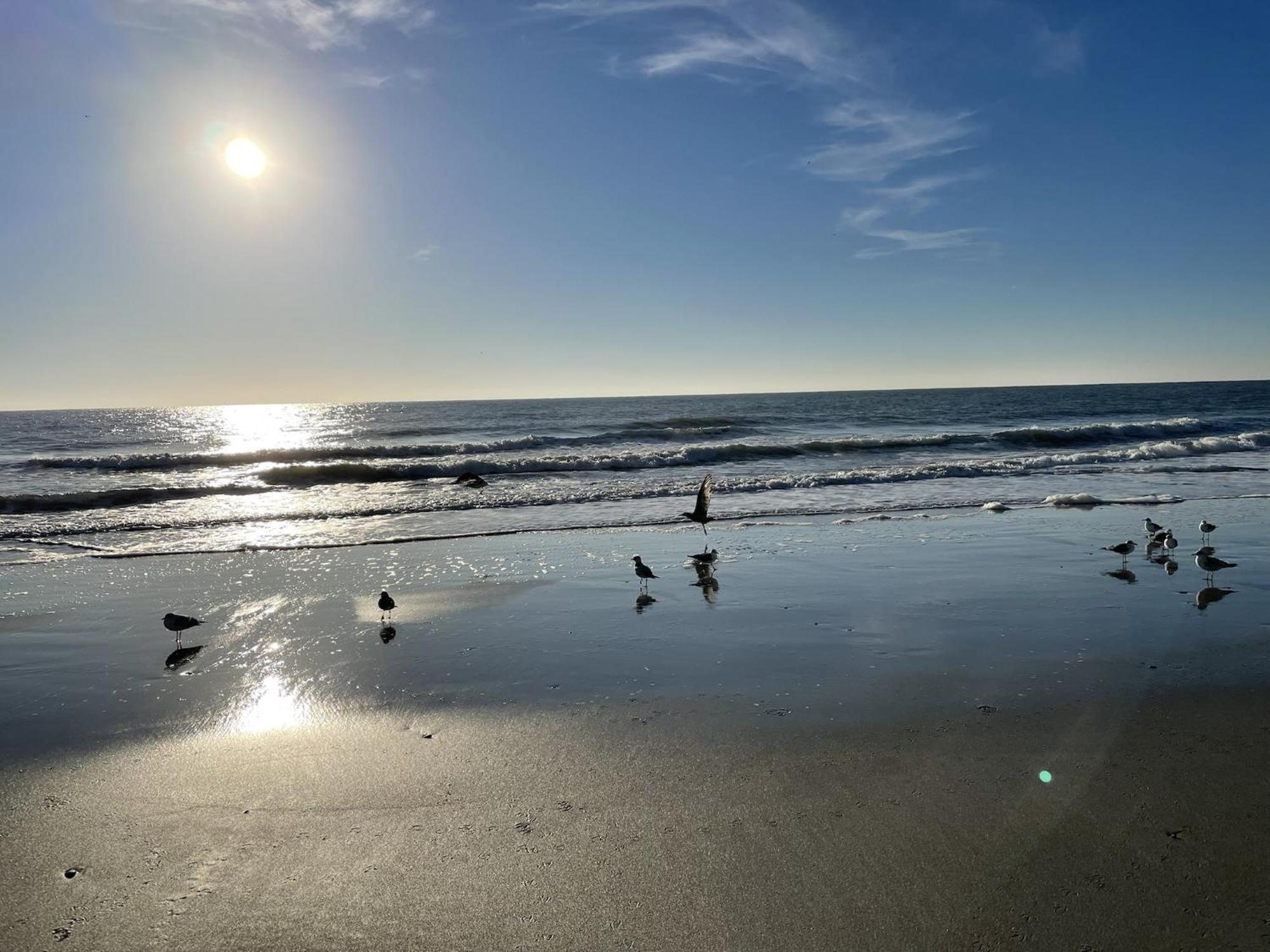 Blue Palmetto Vacation Rentals Myrtle Beach Luaran gambar