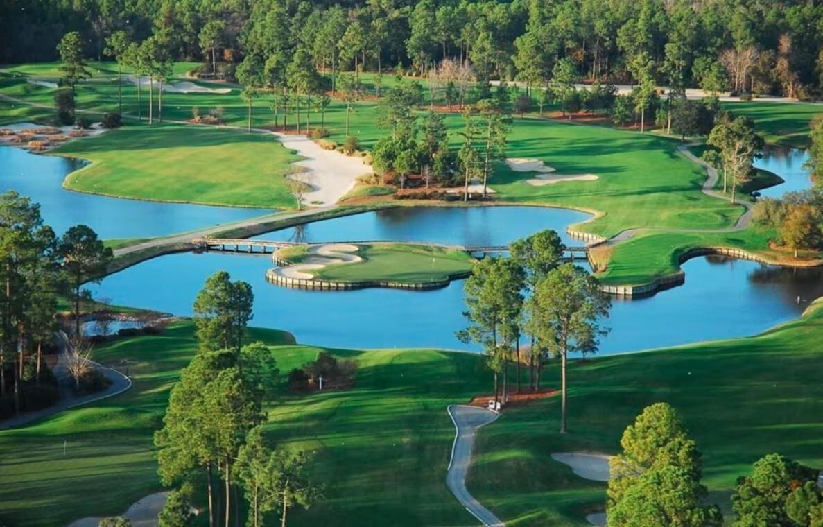 Blue Palmetto Vacation Rentals Myrtle Beach Bilik gambar